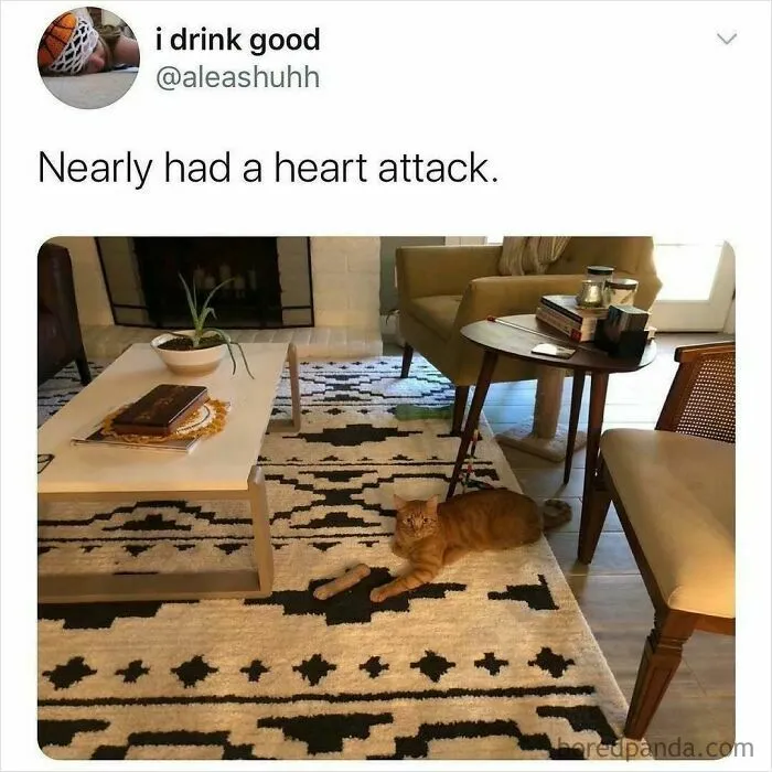 50 Funny Posts That Have No Business Being So Spot-On