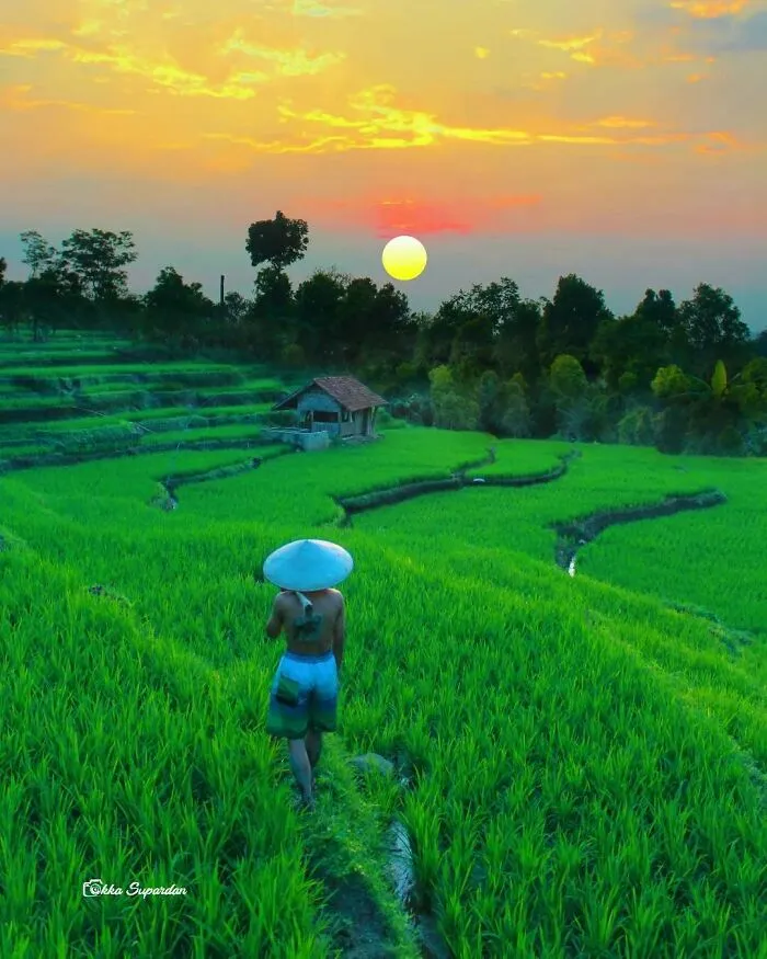 Este fotógrafo tomó 34 llamativas y auténticas fotos de la vida en Indonesia