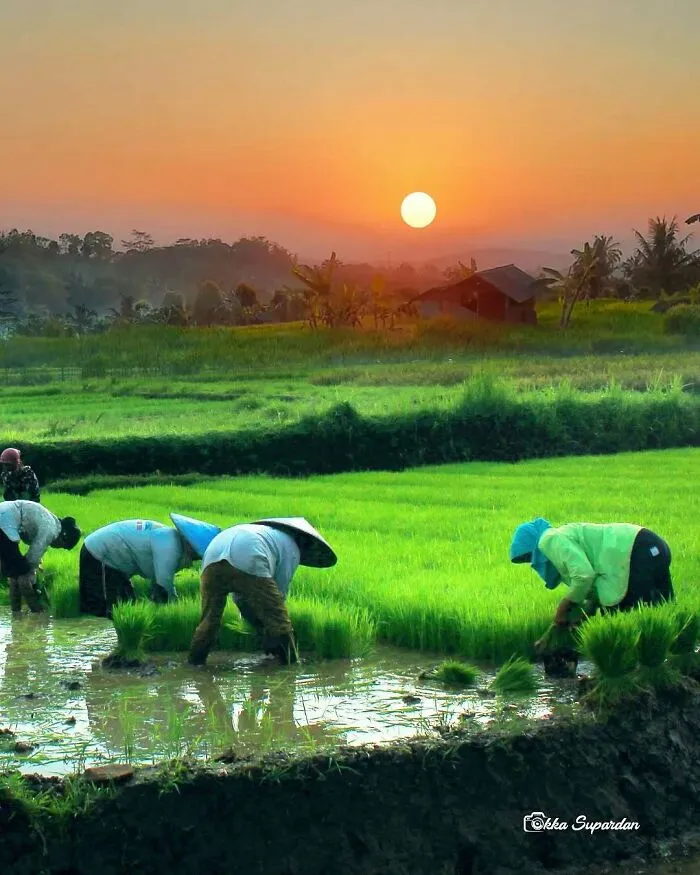 Este fotógrafo tomó 34 llamativas y auténticas fotos de la vida en Indonesia