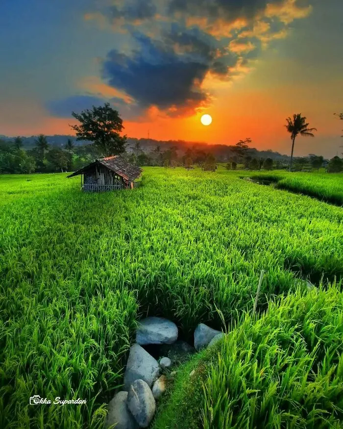Este fotógrafo tomó 34 llamativas y auténticas fotos de la vida en Indonesia