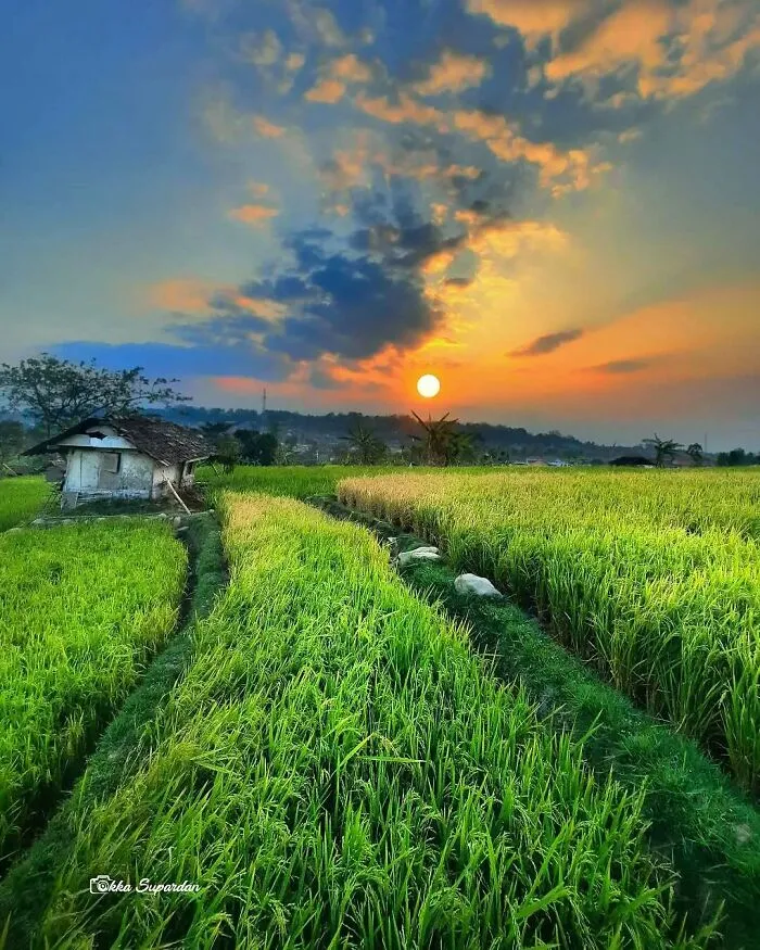 Este fotógrafo tomó 34 llamativas y auténticas fotos de la vida en Indonesia