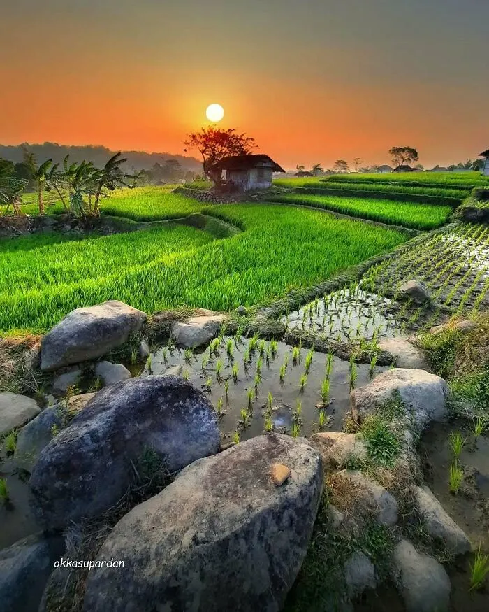 Este fotógrafo tomó 34 llamativas y auténticas fotos de la vida en Indonesia
