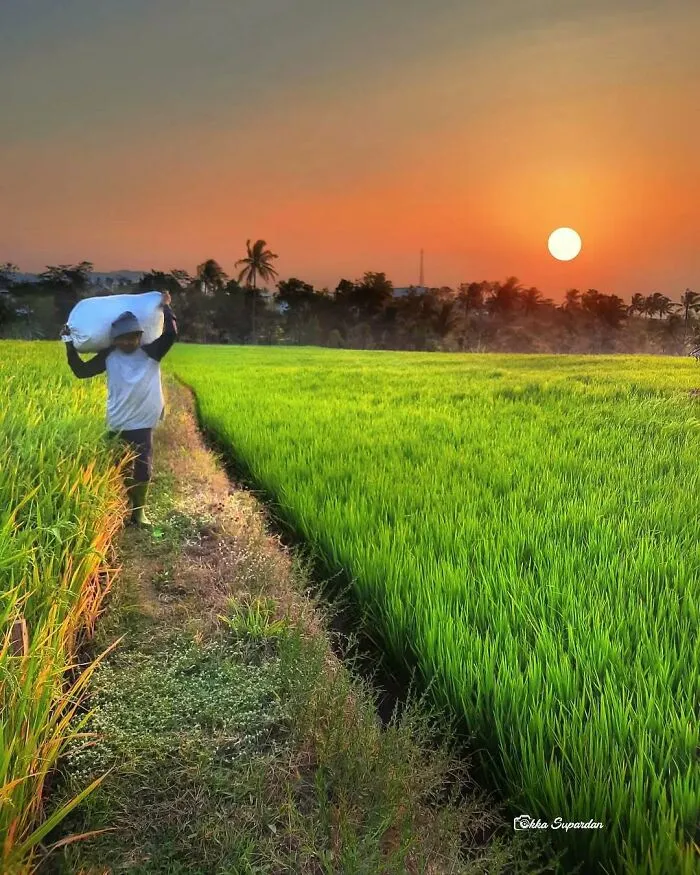 Este fotógrafo tomó 34 llamativas y auténticas fotos de la vida en Indonesia