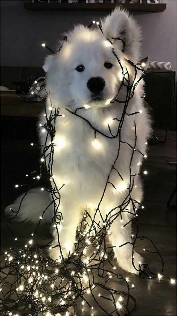 Working On Christmas Decorations
