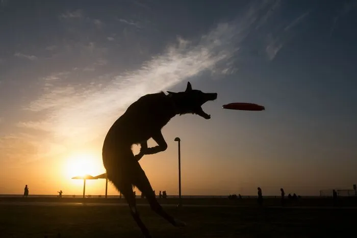 Street Life In Israel: 42 Captivating Images Taken By Ilan Ben Yehuda
