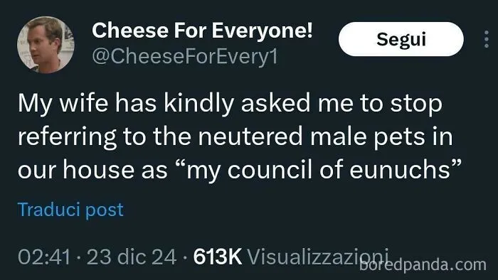 The Wise Animals