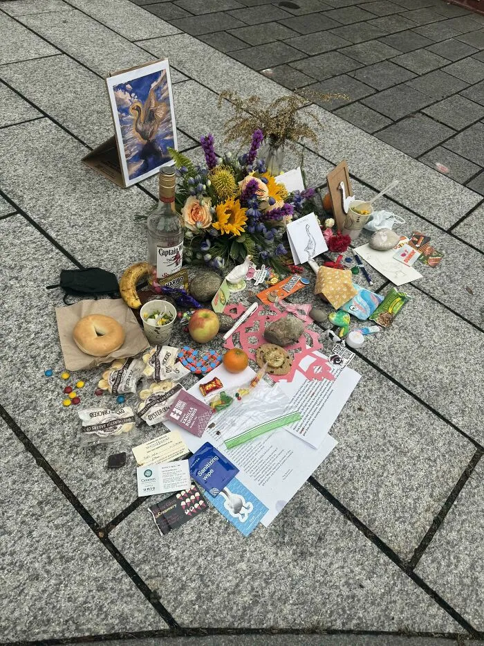 Campus Goose Died The Other Day. Here Is The Memorial. For A Goose