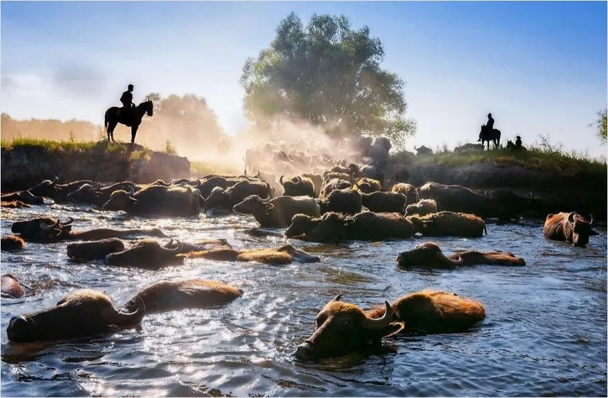 Travel, Culture, And Humanity: 30 Stunning Images By Photographer F. Dilek Yurdakul
