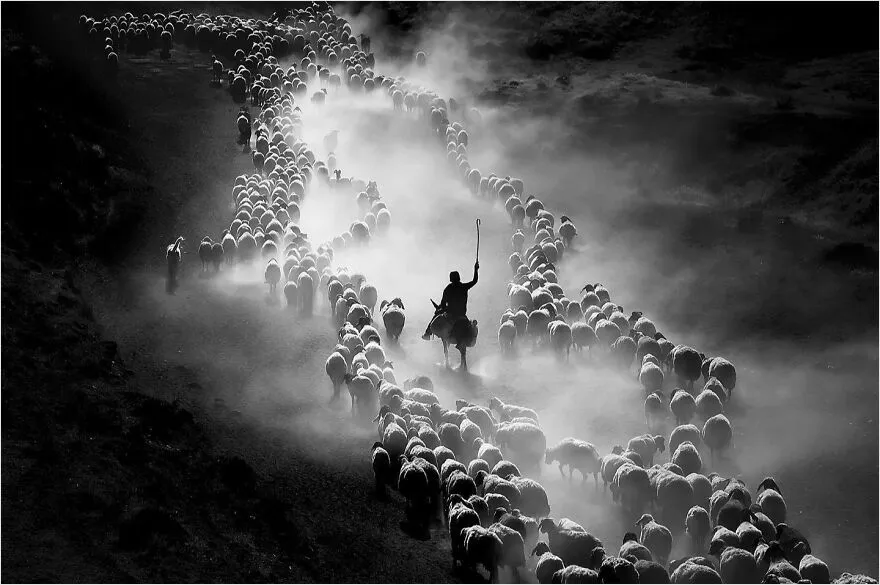 Travel, Culture, And Humanity: 30 Stunning Images By Photographer F. Dilek Yurdakul