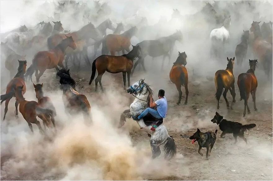 Travel, Culture, And Humanity: 30 Stunning Images By Photographer F. Dilek Yurdakul