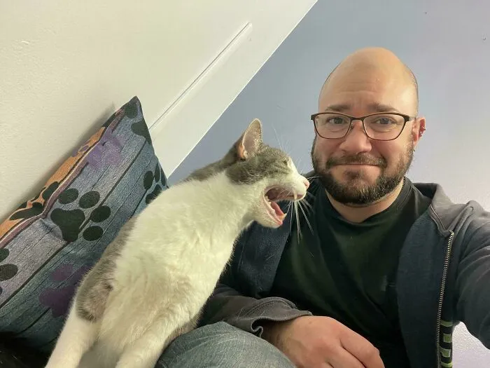 Stevie Is Having Feelings About His Annual Checkup. Great News, He’s A Very Healthy (If Angry) Senior