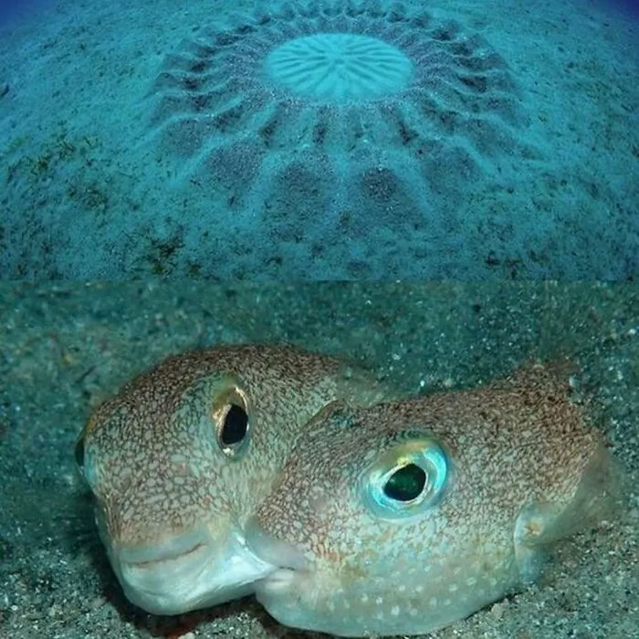50 Awkward Photos That Are Almost Too Painful To Scroll Through