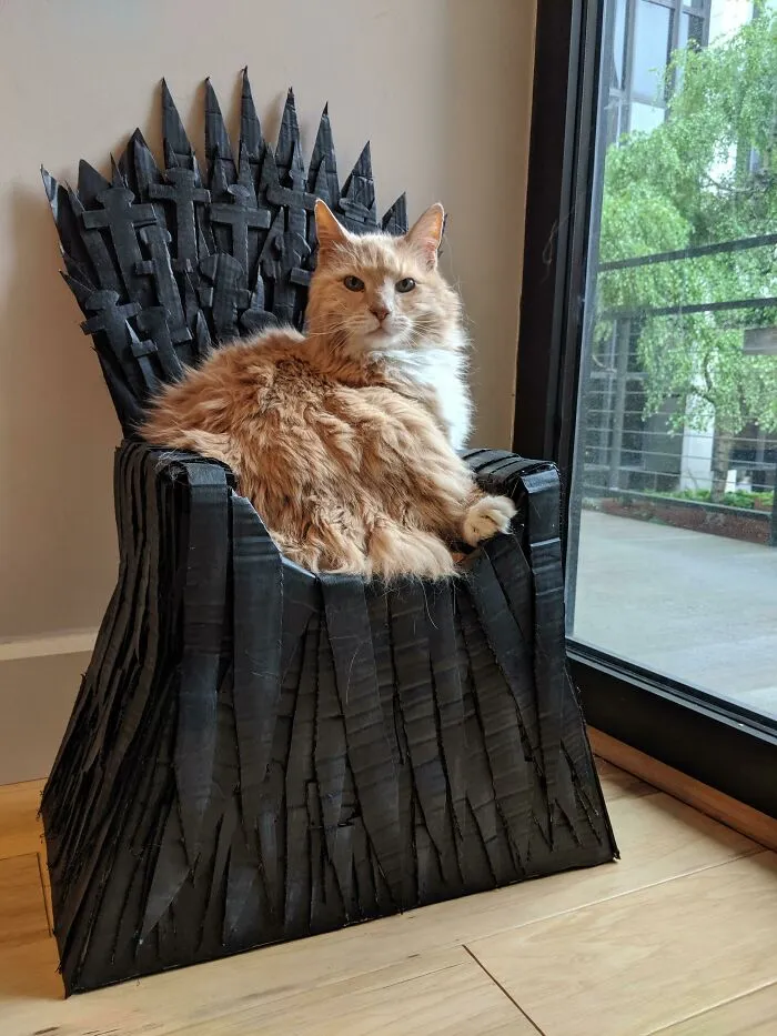 I Made My 17 Year Old King Arthur A Cardboard Iron Throne