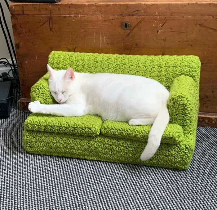 Hope This Fits The Sub: My Cat Snoozing On A Sofa I Crocheted For Her