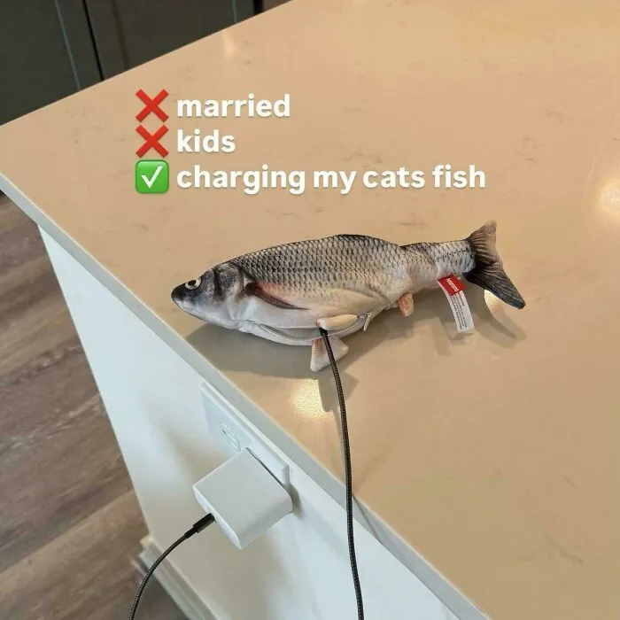 I Have Priorities