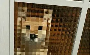 50 Times People Spotted The World Glitching Out And Just Had To Take A Photo (New Pics)