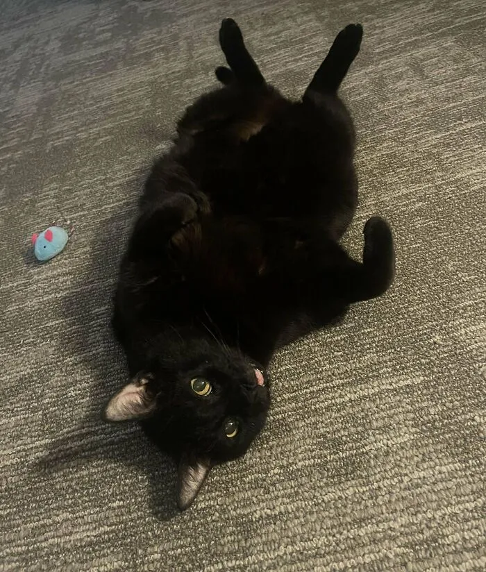 I Adopted Ricky And We Instantly Became Best Friends ( He’s A 14 Year Old Baby)