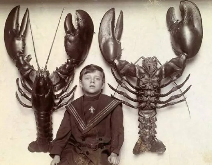 A Boy Between Two Mounted Lobsters Caught Off The New Jersey Coast. 1916