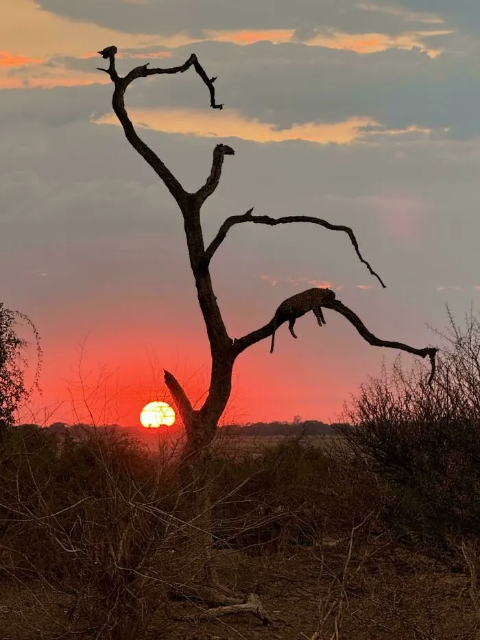 I Can’t Believe I Took This Picture With My Phone! Completely Unedited