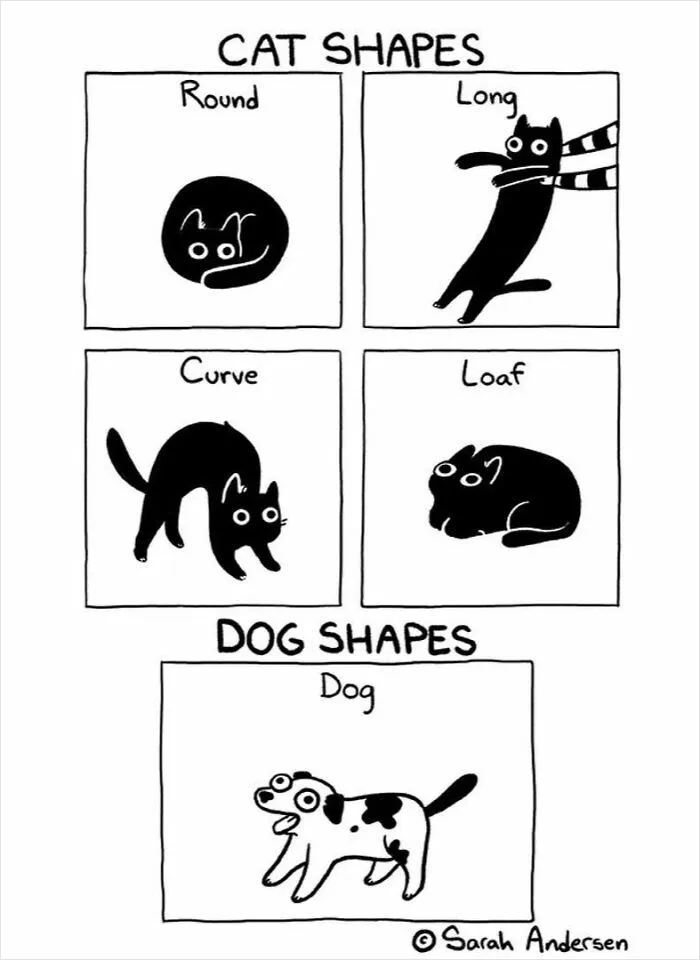 22 Funny Comics By Sarah Andersen Show The Quirky Differences Between Cats And Dogs