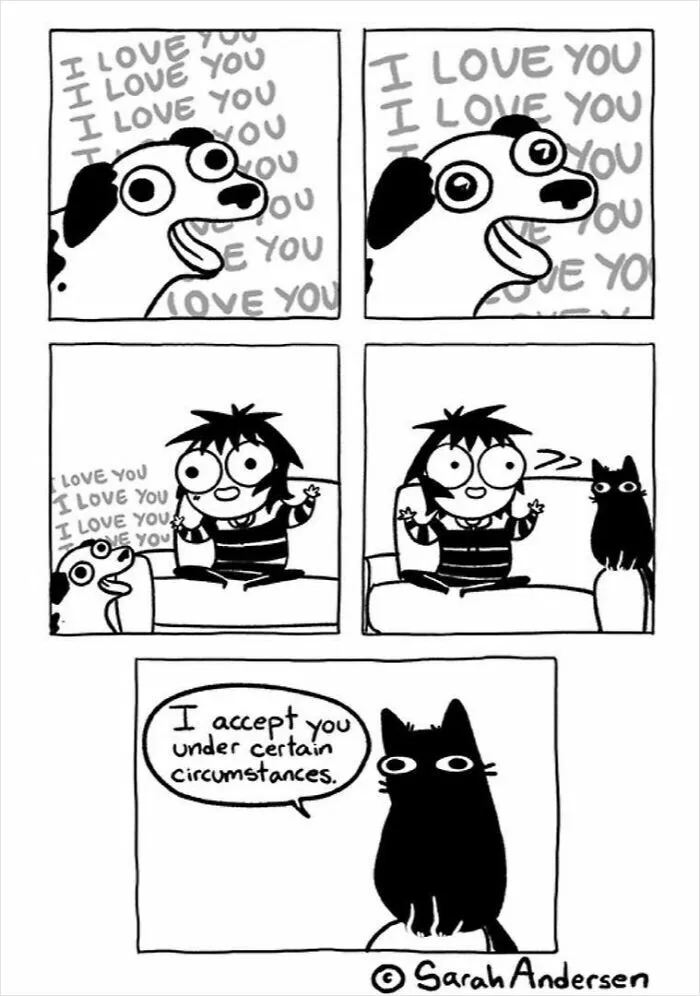 22 Funny Comics By Sarah Andersen Show The Quirky Differences Between Cats And Dogs
