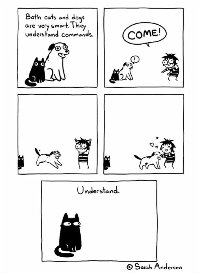 22 Funny Comics By Sarah Andersen Show The Quirky Differences Between Cats And Dogs