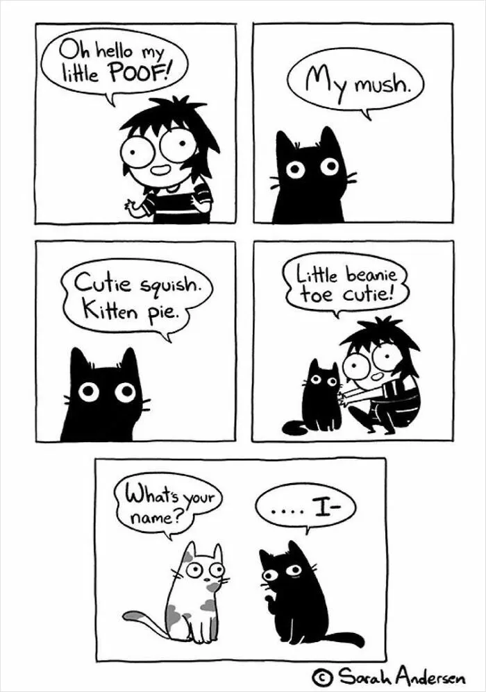 22 Funny Comics By Sarah Andersen Show The Quirky Differences Between Cats And Dogs