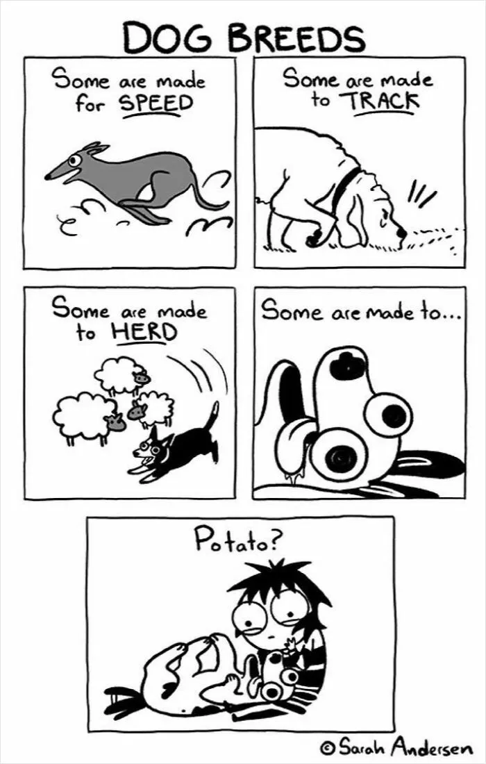 22 Funny Comics By Sarah Andersen Show The Quirky Differences Between Cats And Dogs