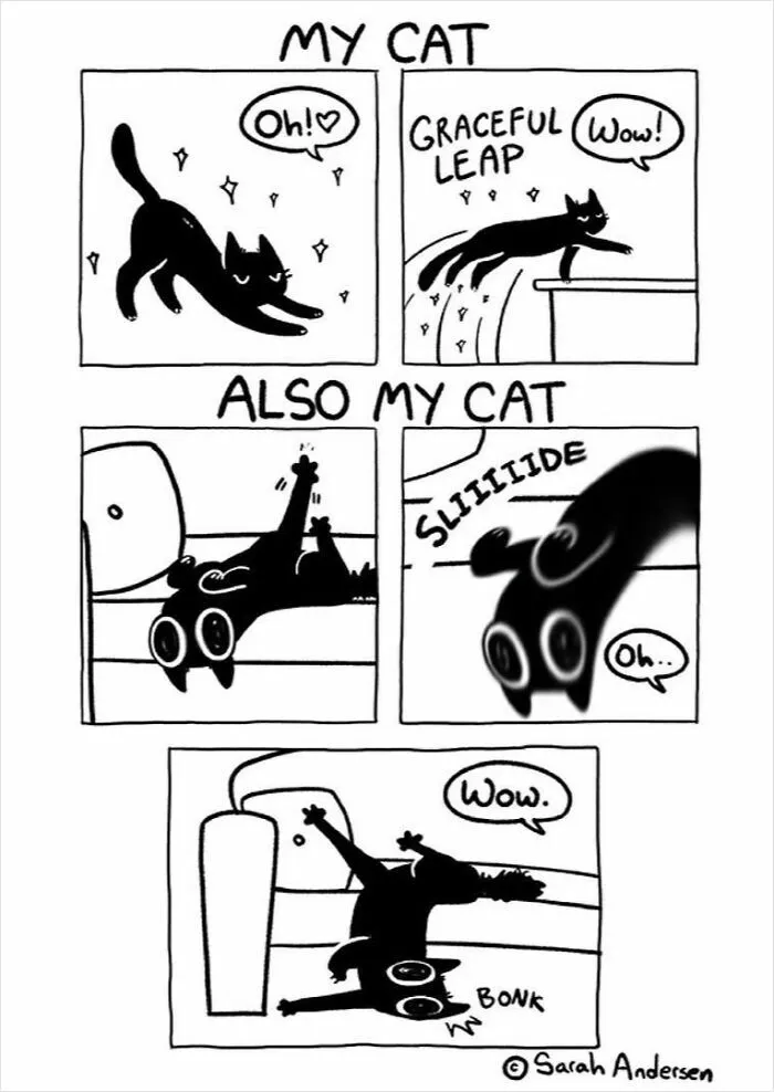 22 Funny Comics By Sarah Andersen Show The Quirky Differences Between Cats And Dogs