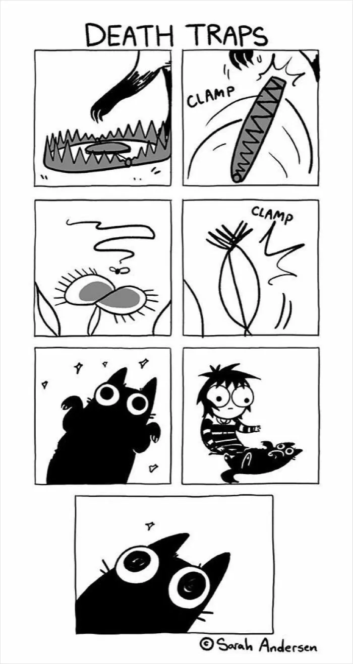 22 Funny Comics By Sarah Andersen Show The Quirky Differences Between Cats And Dogs