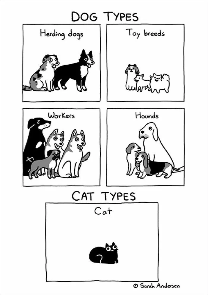 22 Funny Comics By Sarah Andersen Show The Quirky Differences Between Cats And Dogs