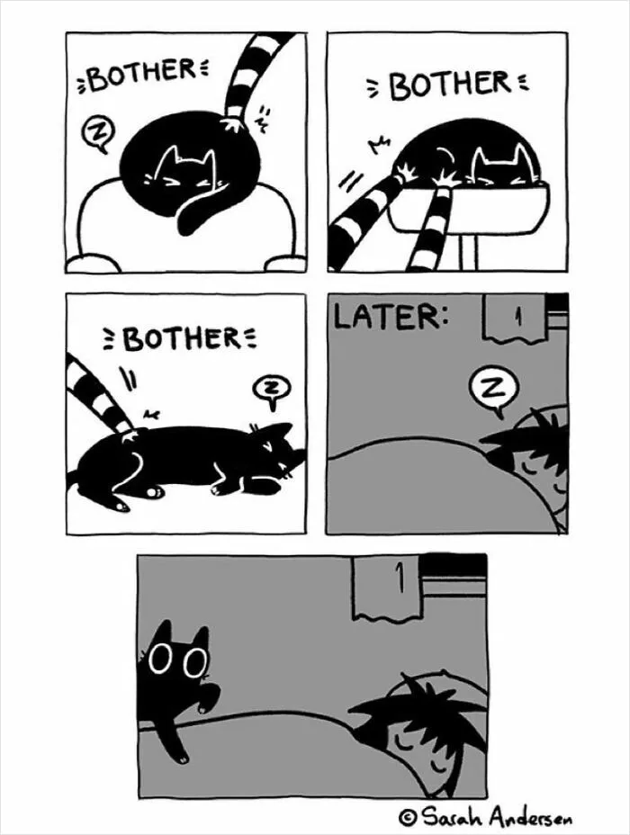 22 Funny Comics By Sarah Andersen Show The Quirky Differences Between Cats And Dogs