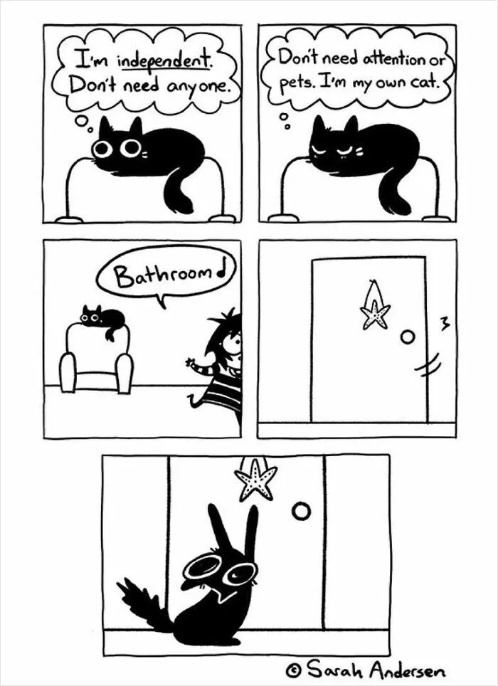 22 Funny Comics By Sarah Andersen Show The Quirky Differences Between Cats And Dogs