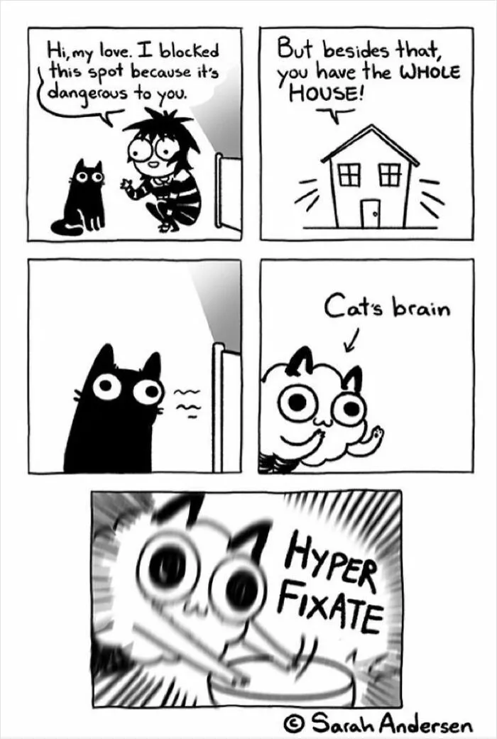 22 Funny Comics By Sarah Andersen Show The Quirky Differences Between Cats And Dogs