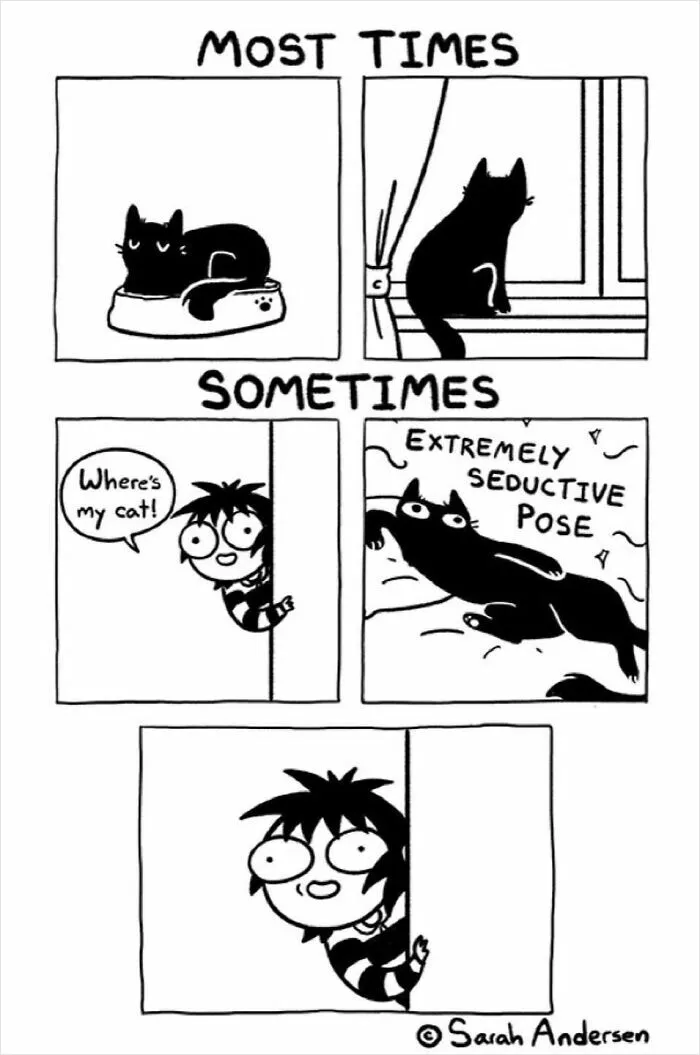 22 Funny Comics By Sarah Andersen Show The Quirky Differences Between Cats And Dogs