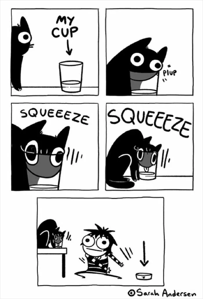 22 Funny Comics By Sarah Andersen Show The Quirky Differences Between Cats And Dogs