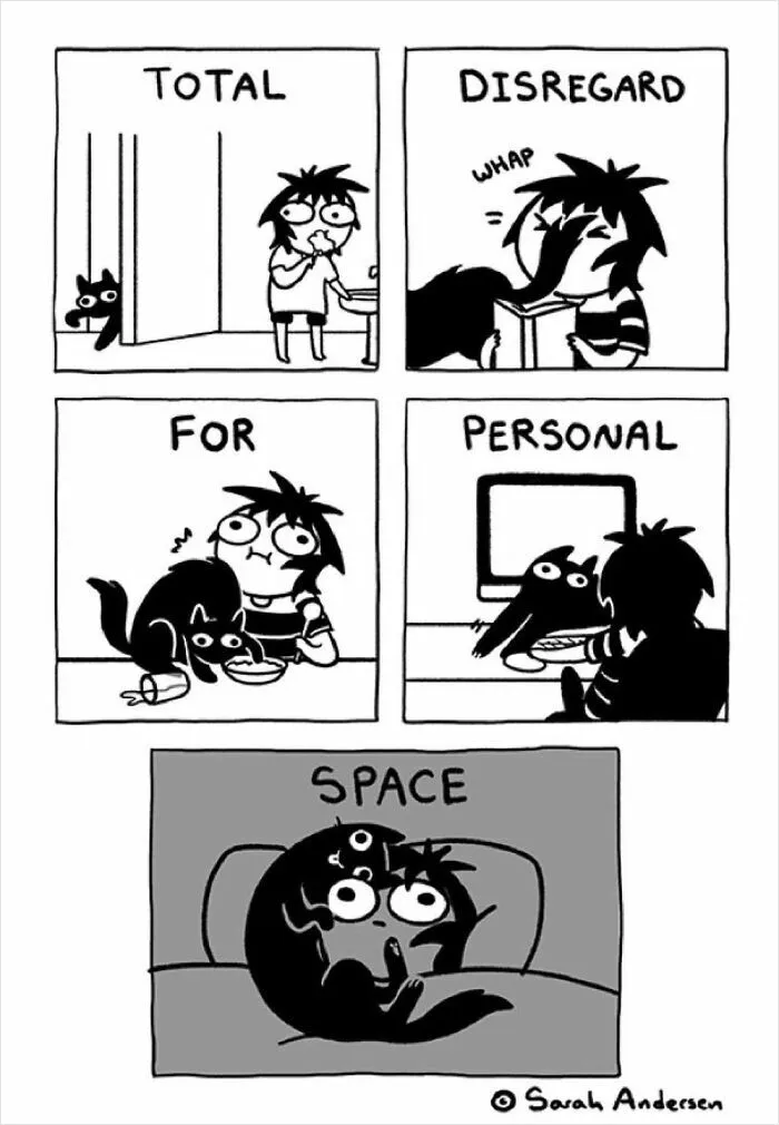 22 Funny Comics By Sarah Andersen Show The Quirky Differences Between Cats And Dogs