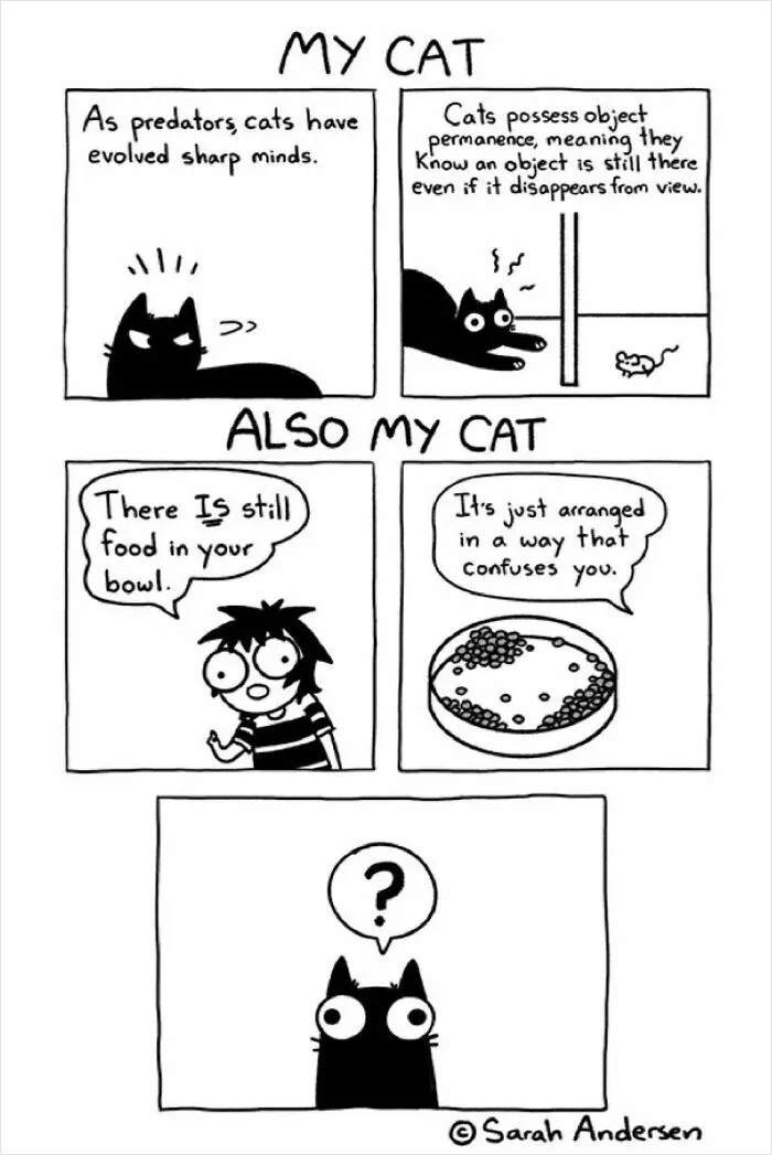 22 Funny Comics By Sarah Andersen Show The Quirky Differences Between Cats And Dogs