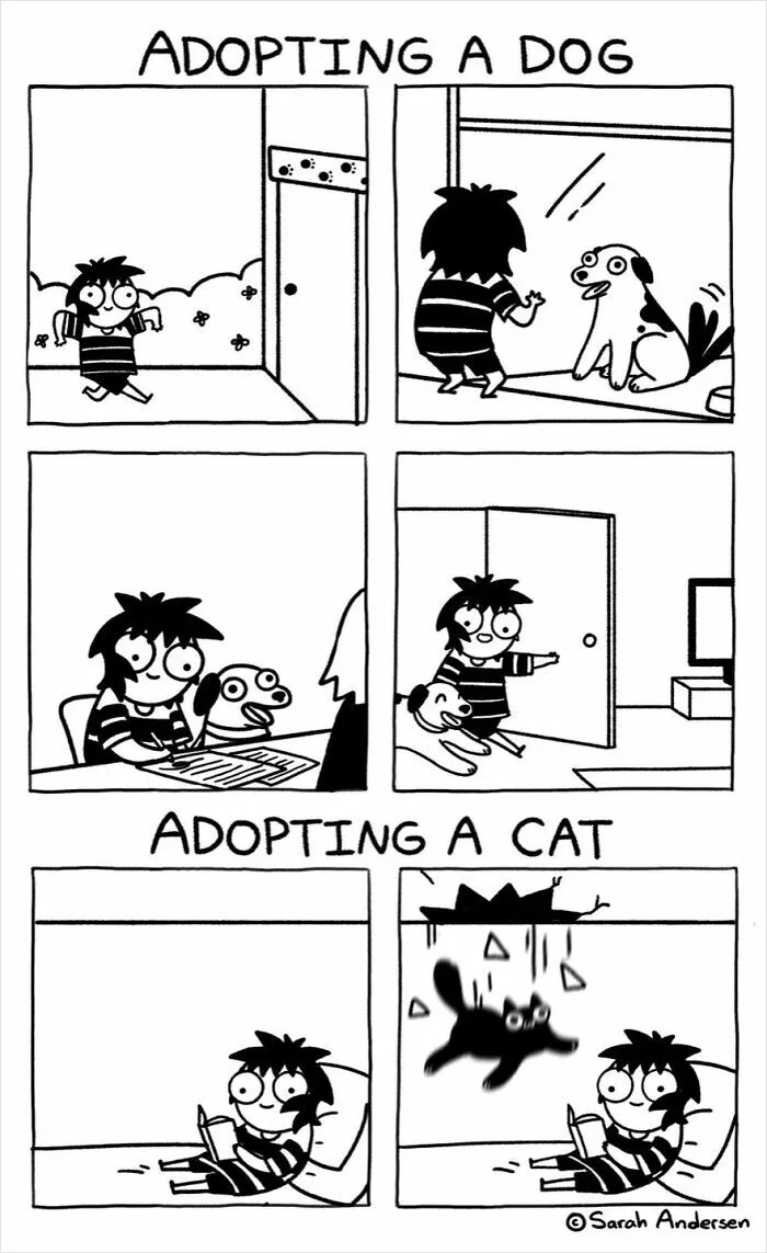 22 Funny Comics By Sarah Andersen Show The Quirky Differences Between Cats And Dogs