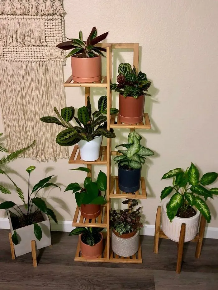 Bring The Outdoors In With A <a Style="Display:inline;" Href="Https://Www.amazon.com/Dp/B0b4d5nkft?pd_rd_i=b0b4d5nkft&pd_rd_w=r4kkf&content-ID=amzn1.sym.f2f1cf8f-Cab4-44dc-82ba-0ca811fb90cc&pf_rd_p=f2f1cf8f-Cab4-44dc-82ba-0ca811fb90cc&pf_rd_r=zrkxnmz0mkyx041vbbxm&pd_rd_wg=etxpc&pd_rd_r=67ff0408-Cee7-47a0-8170-68474441fbaf&s=lawn-Garden&sp_csd=d2lkz2v0tmftzt1zcf9kzxrhawxfdghlbwf0awm&th=1&linkcode=ll1&tag=bptoucan-20&linkid=07464aff5814cc68ffb4f43369542bcc&language=en_us&ref_=as_li_ss_tl" Target="_blank"><span Style="Font: Inherit; Color: #d74b1f;"> 5-Tier Bamboo Plant Stand </Span> That Showcases Your Green Thumb In Style