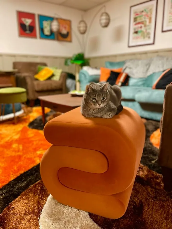 Add A Pop Of Personality To Your Space With An <a Style="Display:inline;" Href="Https://Www.amazon.com/Letesa-Upholstered-Exquisite-Dressing-Comfortable/Dp/B0bn1ztz43?ie=utf8&linkcode=ll1&tag=bptoucan-20&linkid=d64c2000b973f92a2bb9698e8c4310a0&language=en_us&ref_=as_li_ss_tl" Target="_blank"><span Style="Font: Inherit; Color: #d74b1f;"> Orange S-Shaped Ottoman </Span> That Twists And Turns Its Way Into Your Heart