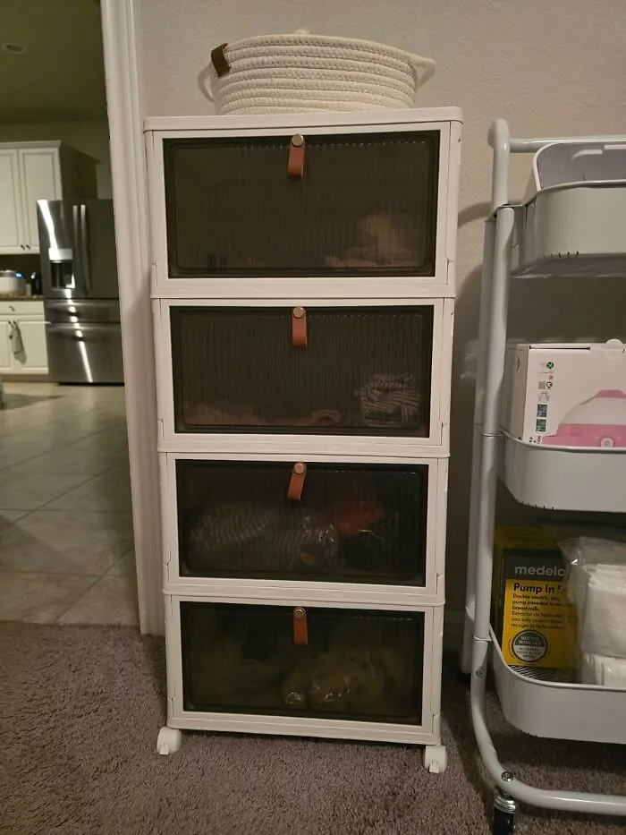 Clear The Clutter And See What You've Been Missing With <a Style="Display:inline;" Href="Https://Www.amazon.com/Storage-Organizer-Stackable-Boxes-Containers/Dp/B0chrnm2yf?ie=utf8&th=1&linkcode=ll1&tag=bpsquid-20&linkid=227f0e7d021834b9496648e050cf6552&language=en_us&ref_=as_li_ss_tl" Target="_blank"><span Style="Font: Inherit; Color: #d74b1f;"> Stackable Clear Storage Bins </Span> That Bring Transparency To Your Tidying!
