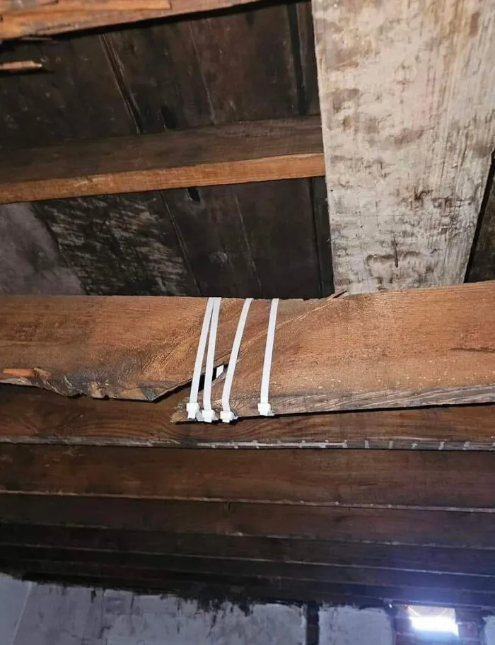 No Need For A Carpenter When A Tech Is Around