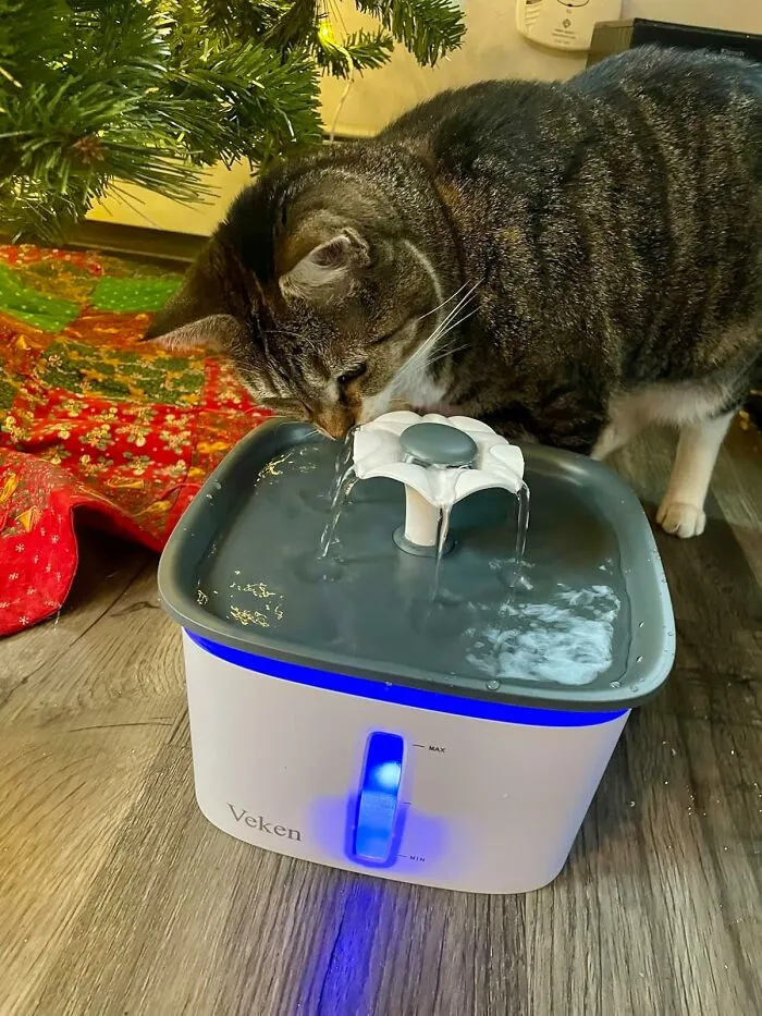 This <a Style="Display:inline;" Href="Https://Www.amazon.com/Veken-Fountain-Automatic-Dispenser-Replacement/Dp/B08nc54vzn?ie=utf8&th=1&linkcode=ll1&tag=bpcrow-20&linkid=1f9f174c96999ab90fb684f2c559767e&language=en_us&ref_=as_li_ss_tl" Target="_blank"><span Style="Font: Inherit; Color: #d74b1f;"> Automatic Water Fountain</Span> Is A Refreshing Addition To Any Feline Friend's Hydration Routine, Providing A Constantly Flowing Source Of Fresh Water That's Sure To Quench Any Cat's Thirst And Keep Them Happy And Healthy