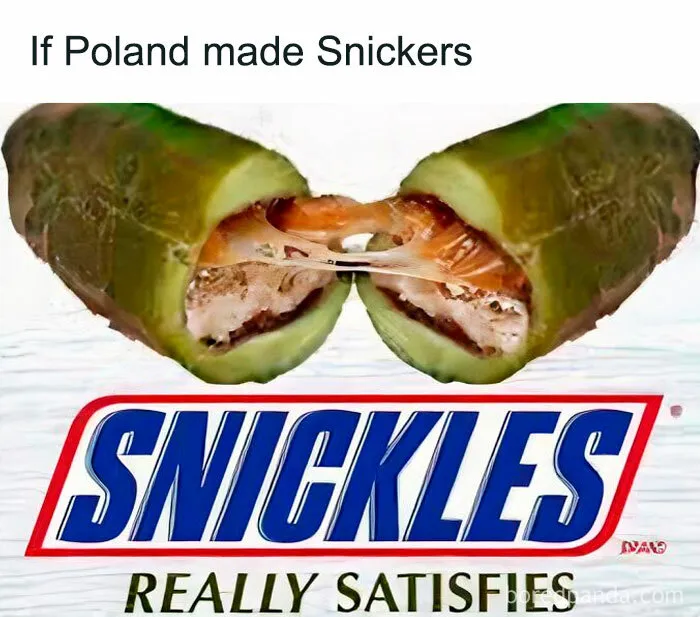 30 Funny Memes That Showcase Poland’s Unique Sense Of Humor