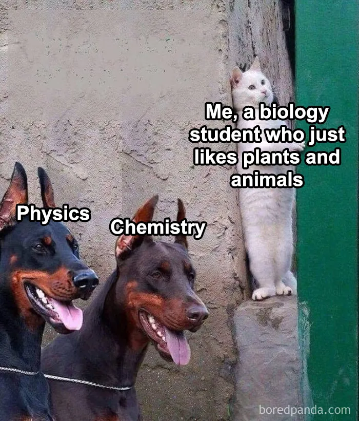 35 Scientifically Proven Memes For Those With An Intellectual Sense Of Humor