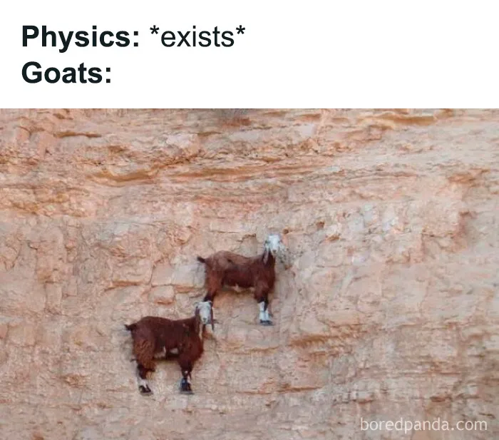 35 Scientifically Proven Memes For Those With An Intellectual Sense Of Humor