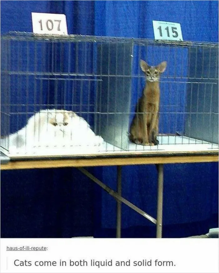 35 Scientifically Proven Memes For Those With An Intellectual Sense Of Humor