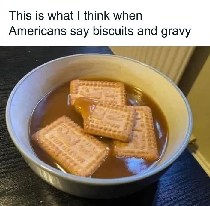 I Just Don't Understand It Lol