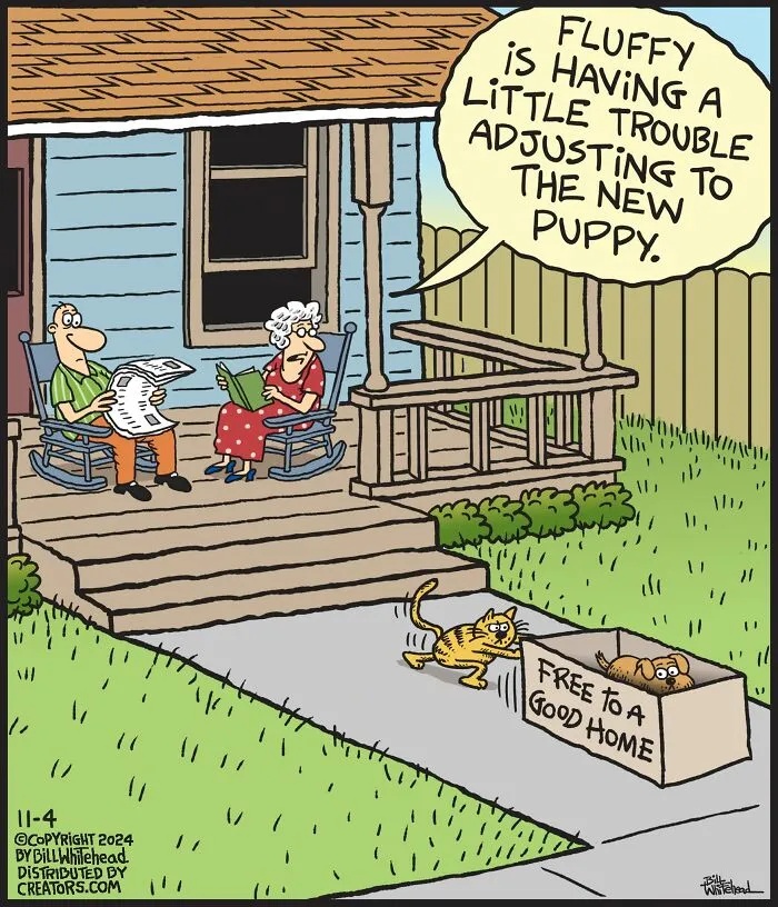 30 Playful One-Panel Comics By Bill Whitehead To Add Humor To Your Day (New Pics)